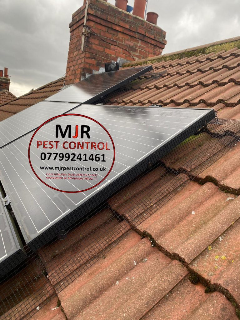 solar panel proofing barnsley