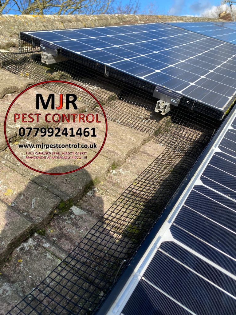 solar panel proofing in york