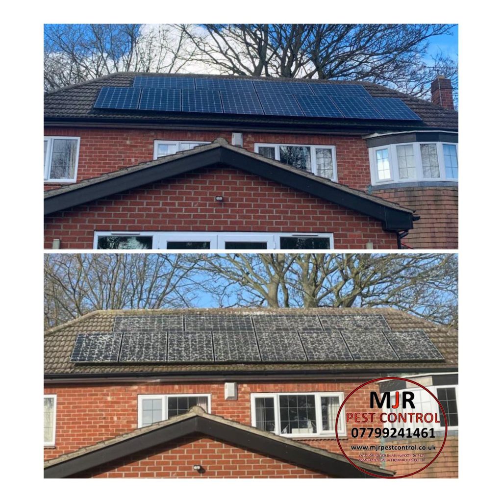 solar panel proofing in york